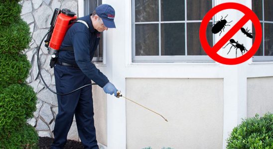 Koçarlı Haşere İlaçlama böcek ilaçlama ve haşere kontrolü — ilaclama-tr.com